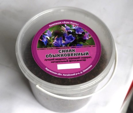 Синяк обыкновенный