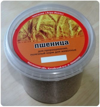Семена пшеницы в ведерке 0,5 кг