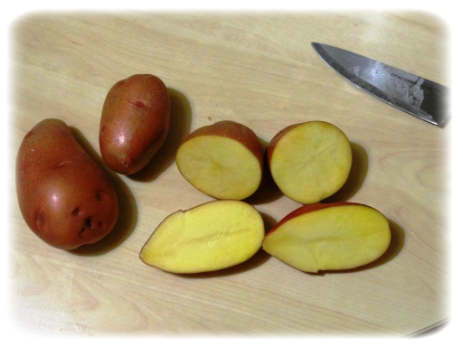 ред скарлет картофель